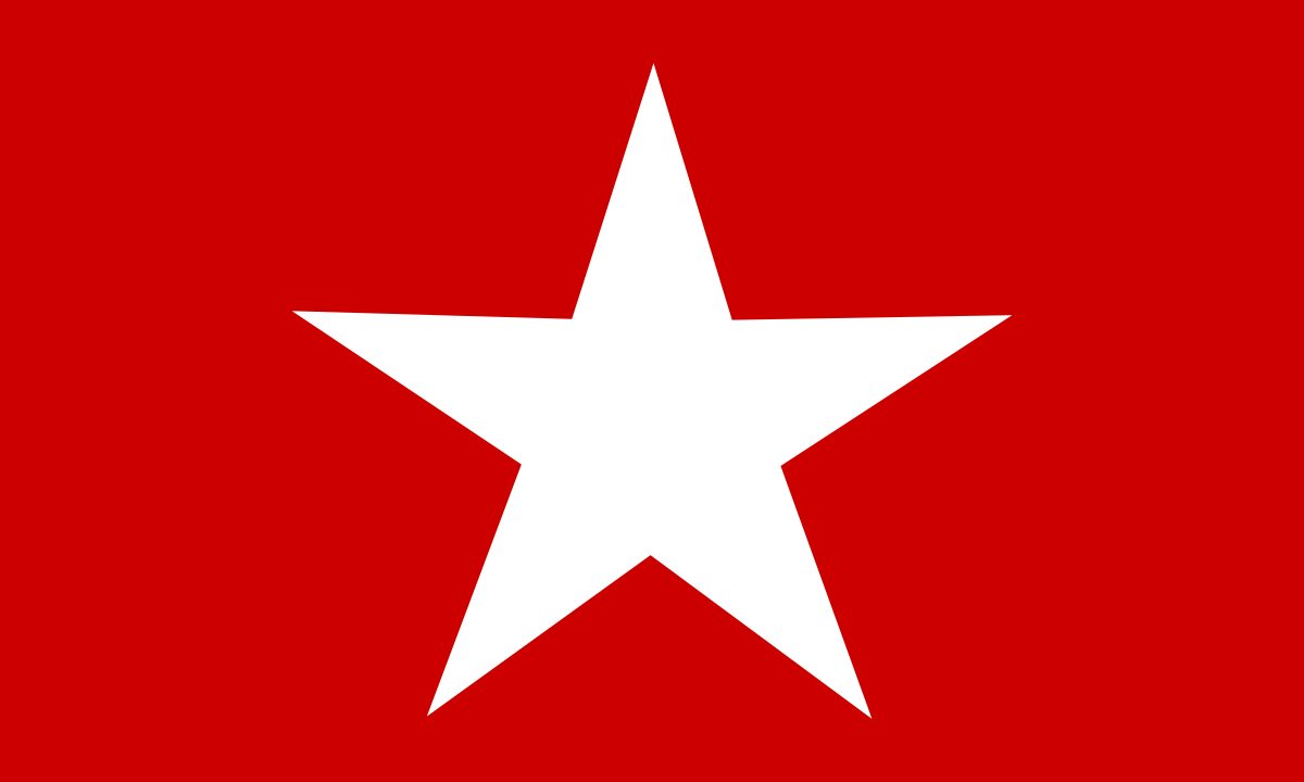 Bandera del Pueblo Unido