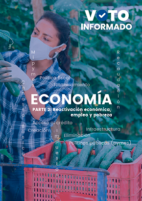 Portada de la revista de Economía, parte 2: reactivación económica. El fondo es una fotografía de una mujer cultivando. 