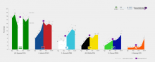 Gráfico del estudio. Es muy pequeño para ver los valores.